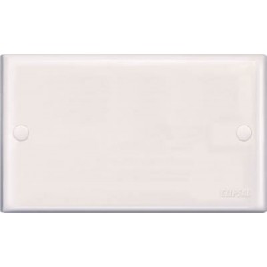 Blank Plate Large