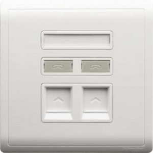 Data Face Plate Double